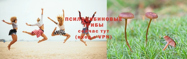 твердый Алзамай