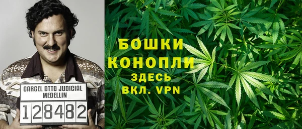 твердый Алзамай