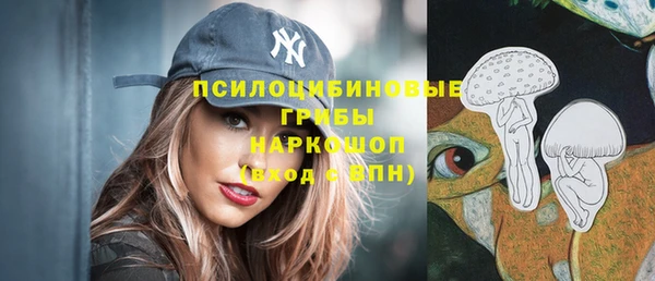 твердый Алзамай
