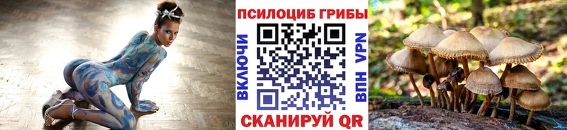 Псилоцибиновые грибы мухоморы  omg маркетплейс  Камбарка 